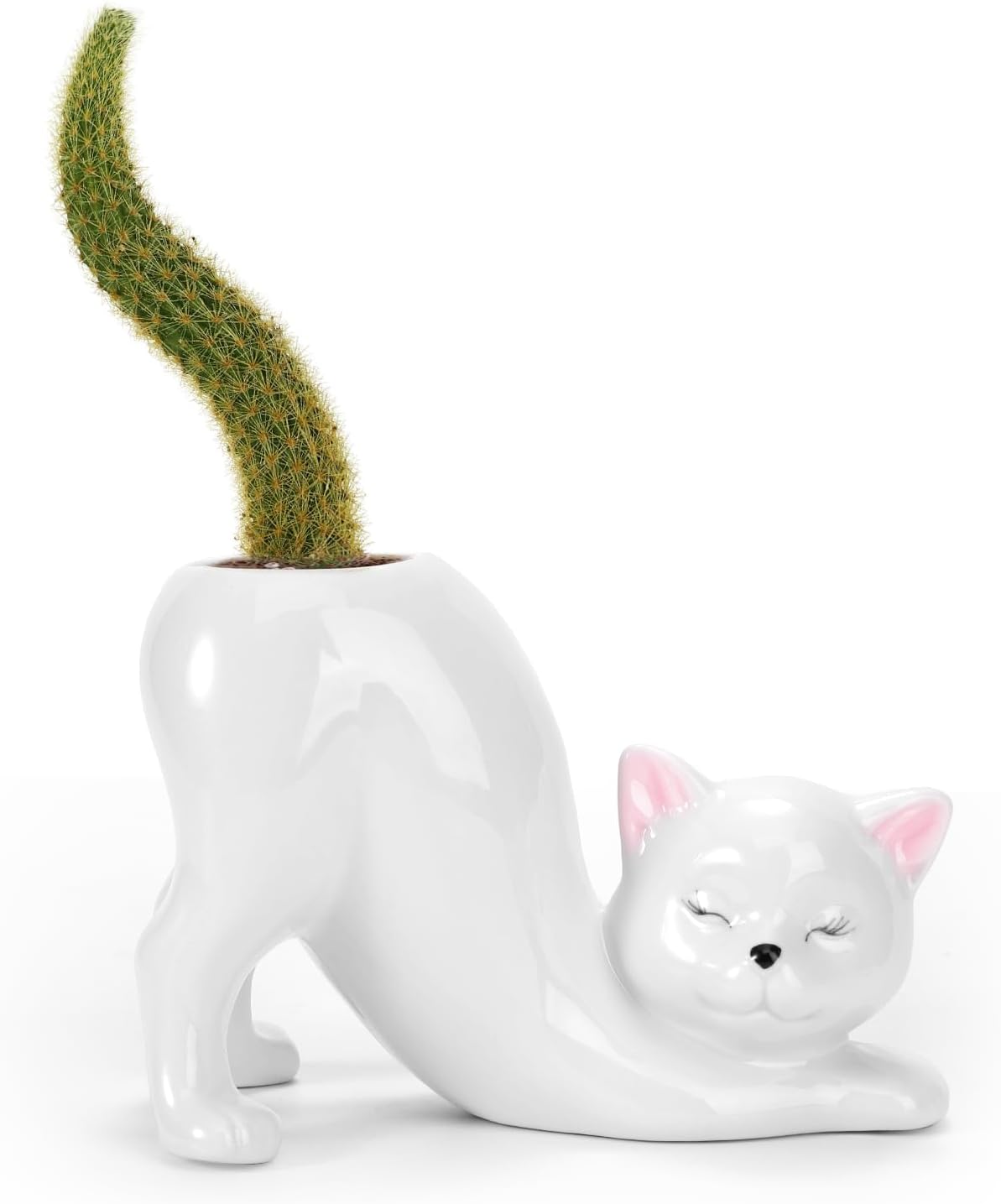 Kitty Vase