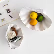 Shell Tray