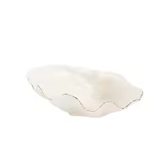 Shell Tray